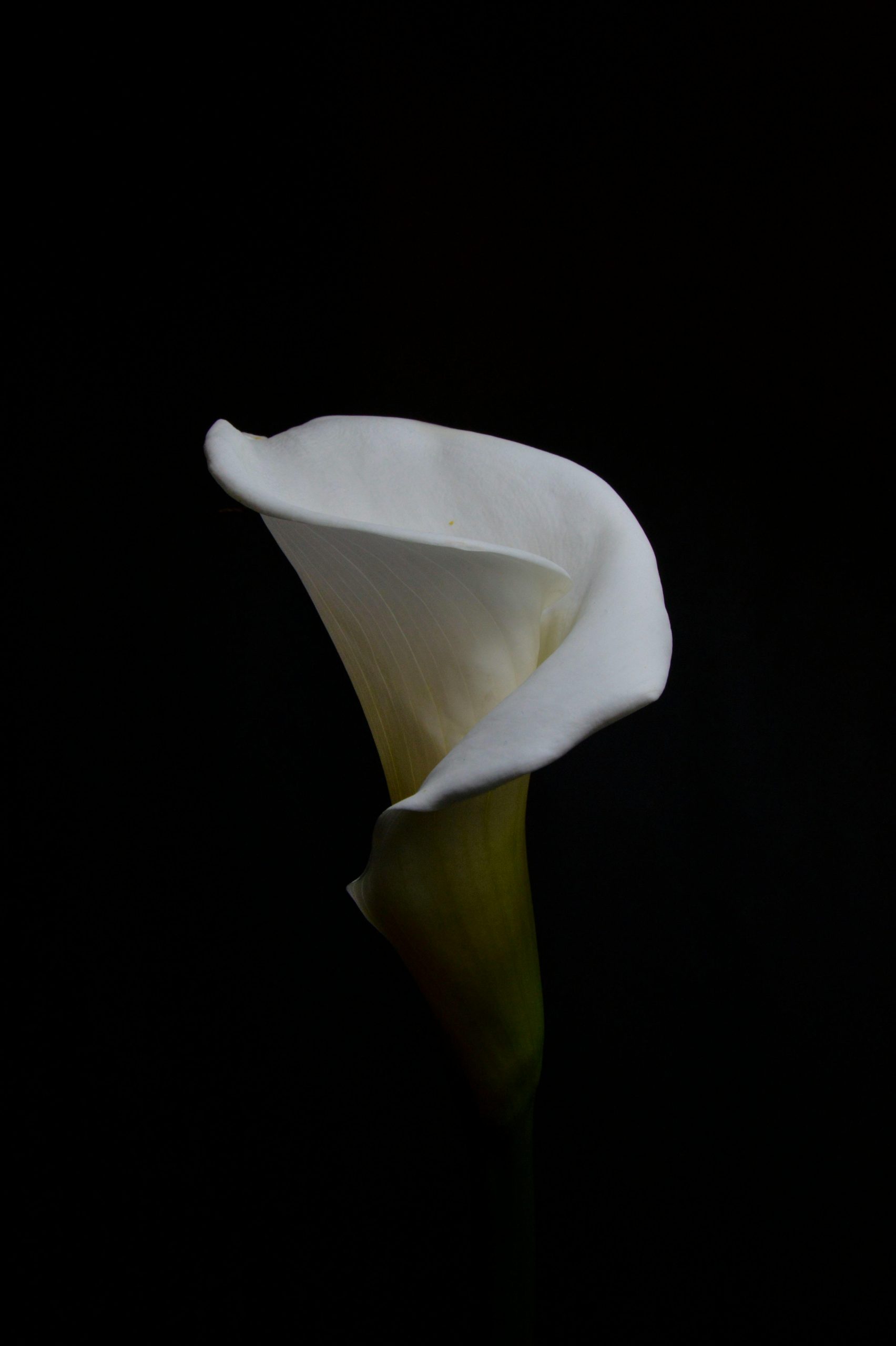 The 20% Stretch: 5 Simple Mobility Wins